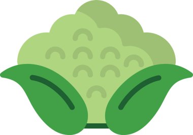 Karnabahar web simgesi, vektör illüstrasyonu