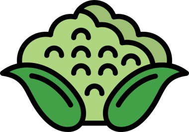 Karnabahar web simgesi, vektör illüstrasyonu