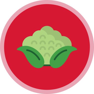 Karnabahar web simgesi, vektör illüstrasyonu