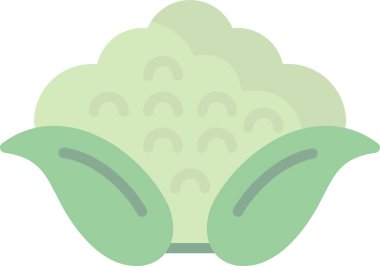 Karnabahar web simgesi, vektör illüstrasyonu