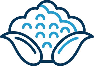 Karnabahar web simgesi, vektör illüstrasyonu