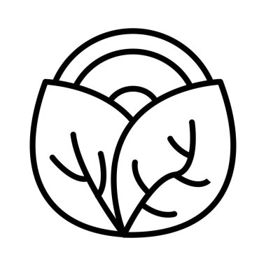 Lahana Vektörü Simgesi Tasarımı