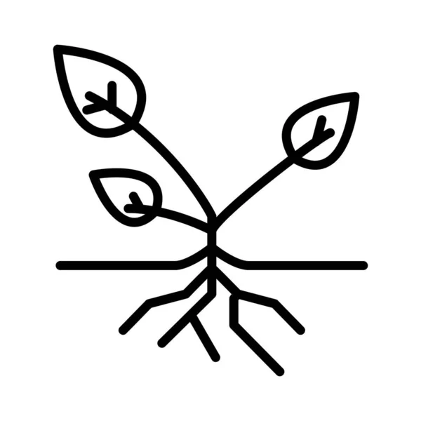 Bitki Kökleri Vektör Simgesi Tasarımı — Stok Vektör
