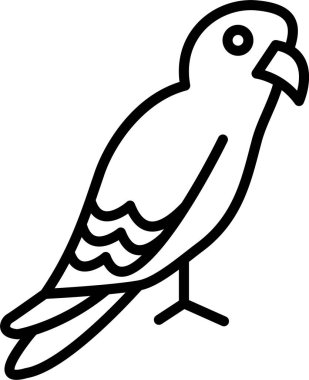 Papağan Satır Simgesi Tasarımı