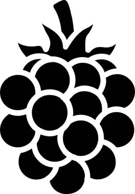 Blackberry Vektör Simgesi Tasarımı