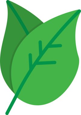 Yaprak Vektörü Simgesi Tasarımı