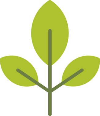 Yaprak Vektörü Simgesi Tasarımı