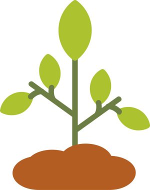Plant Vector Icon Design