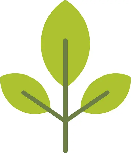 Yaprak Vektörü Simgesi Tasarımı