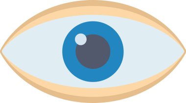 Eye Vector Icon Design