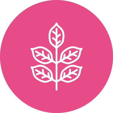 Bay Vektör Simgesi Tasarımı