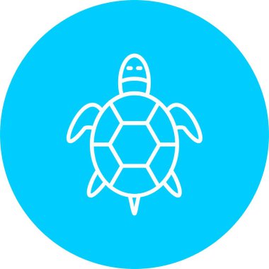 Turtle Vector Icon Design