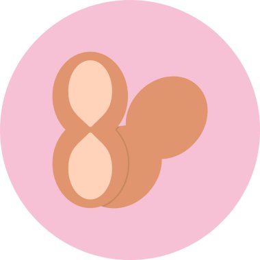 Fıstık Düz Çemberi Simgesi