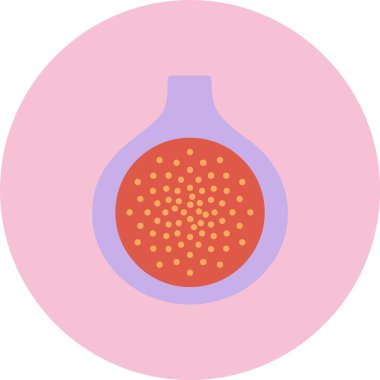 İncir Düz Çember Simgesi