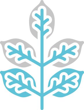 Bay Glyph İki Renk Simgesi