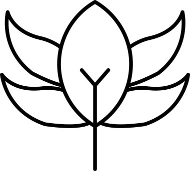Lily Satır Simgesi Tasarımı