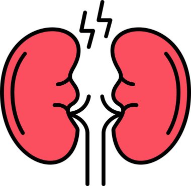 Böbrek Hattı Simge Tasarımı