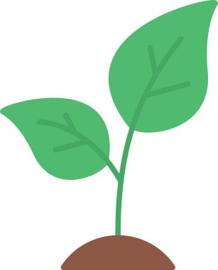 Düz simgesi tasarım filiz