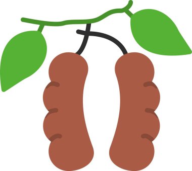 Tamarind Düz Simge Tasarımı