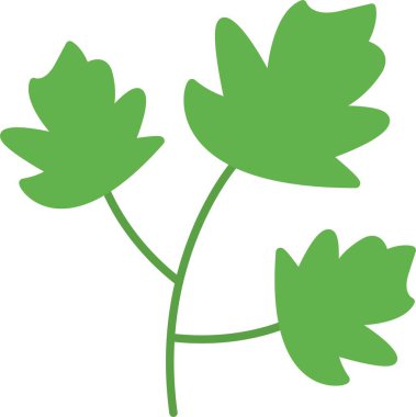 Maydanoz Düz Simge Tasarımı