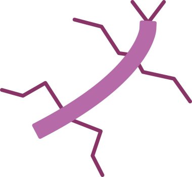 Böcek Kabartması İki Renk Simgesi