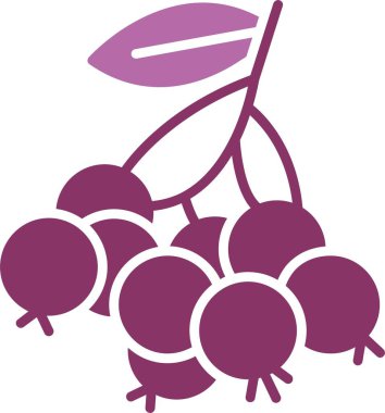 Huckleberry Glyph İki Renk Simgesi