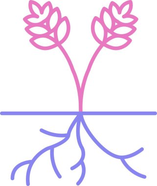 Kök Satırı İki Renk Simgesi