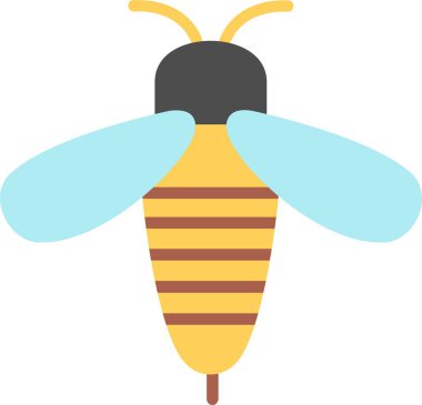 Arı Düz Vektör Simgesi Tasarımı