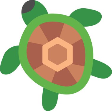 Kaplumbağa Düz Vektör Simgesi Tasarımı
