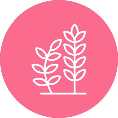 Buğday Çizgisi Çok Çember Rengi