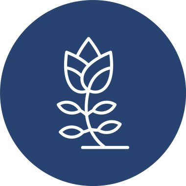 Lale Çizgisi Çok Çember Rengi