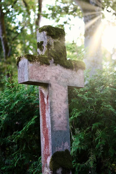 Eine Vertikale Aufnahme Eines Mit Moos Bedeckten Betonkreuzes Auf Einem — Stockfoto
