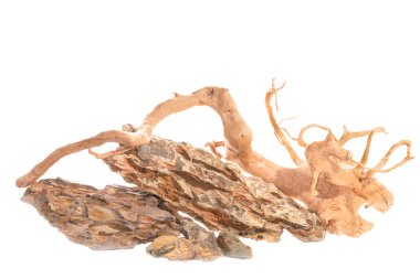 Ohko ejderha taşı, tatlı su akvaryumu için kırmızı çayırlık dalları beyaz arka planda izole edilmiş su kaplama tasarımı..