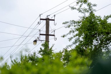 Eski elektrik kaynağı direği. Gökyüzüne karşı elektrik kabloları olan elektrik direği. Bir ağaç yetişiyor. 