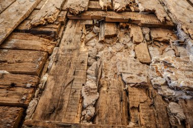 Eski ahşap duvar termitler tarafından hasar görmüş. Yakın çekim görüntüsü. Çürük duvar. Gerçek fotoğraf. Düşük açı görünümü