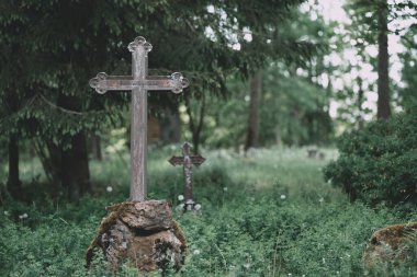 Çimlerin ve çiçek açan karahindibaların ortasında duran yaşlanmış bir haç mezar taşı huzurlu bir atmosfer yaratır.