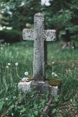 Çimlerin ve çiçek açan karahindibaların ortasında duran yaşlanmış bir haç mezar taşı huzurlu bir atmosfer yaratır.