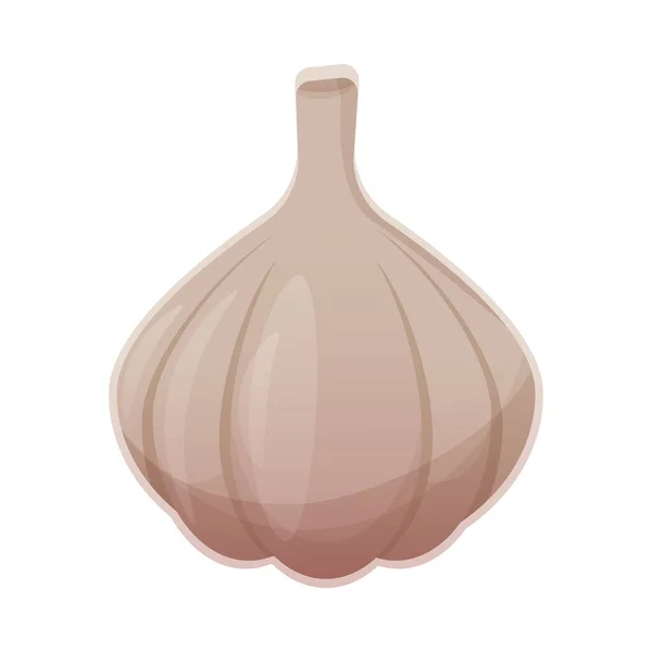 Garlic Bulbs Cartoon Design Colorful Illustration Isolated White Background — Stock Photo, Image