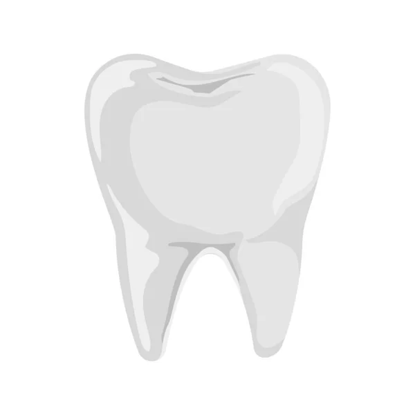 White Tooth Dental Health Hygiene Flat Vector Illustration Isolated White — Stock Vector