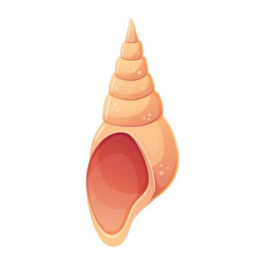 Çizgi film tarzında renkli bir tropik kabuk. Vektör illüstrasyonu beyaz arkaplanda izole edildi.