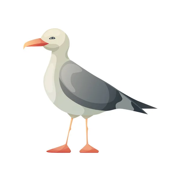 Seagull Bird Resting Curious Standing Sea Bird Vector Illustration Isolated — Stock Vector