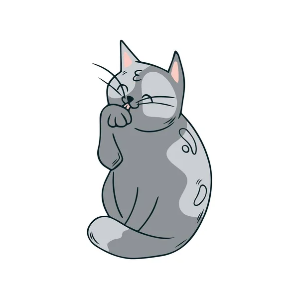 Cute Grey Cat Lick Paw Grey Kitten Hand Drawn Style — Stock Vector