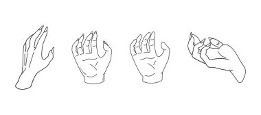 Tırnakları olan zarif kadın elleri. Sanat tarzında el çizimi elementler. Vektör illüstrasyonu beyaz arkaplanda izole edildi