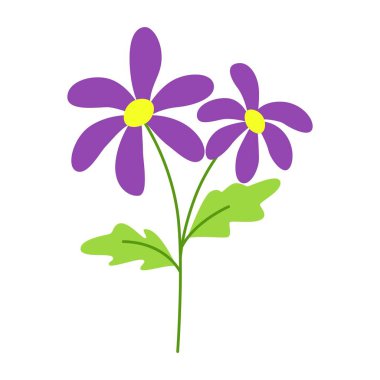 El çizimi papatyalar, bahar çiçekleri, çiçek ve yeşil yapraklar. Tasarımlar için çok renkli botanik elementler. Düz vektör çizimi beyaz arkaplanda izole edildi