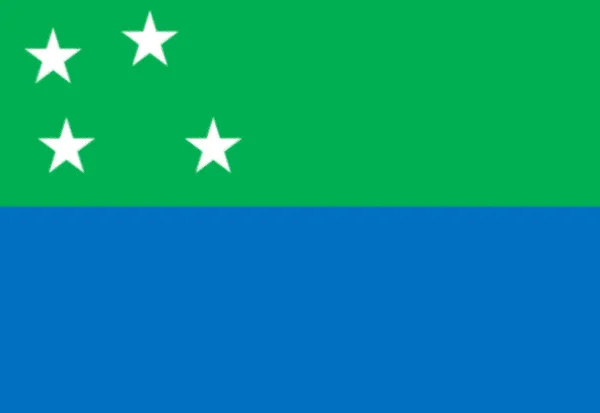 Bandiera Della Regione Los Lagos Cile Dal 2013 — Foto Stock
