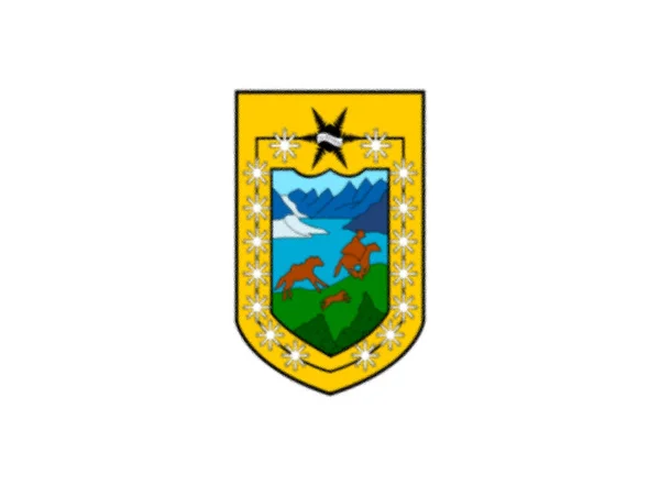 Flag Aysen Region Chile — Stock Photo, Image