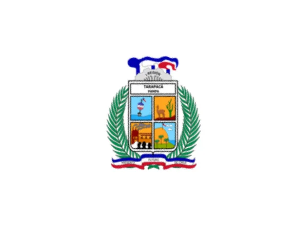 Vlag Van Tarapaca Regio Araucanía — Stockfoto