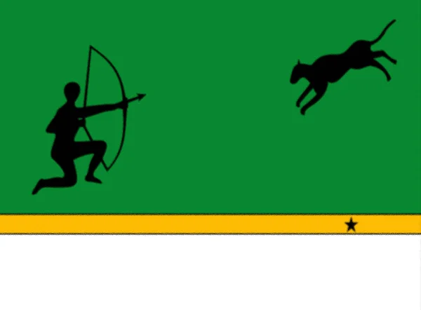 Flaga Departamentu Amazonas Kolumbia — Zdjęcie stockowe