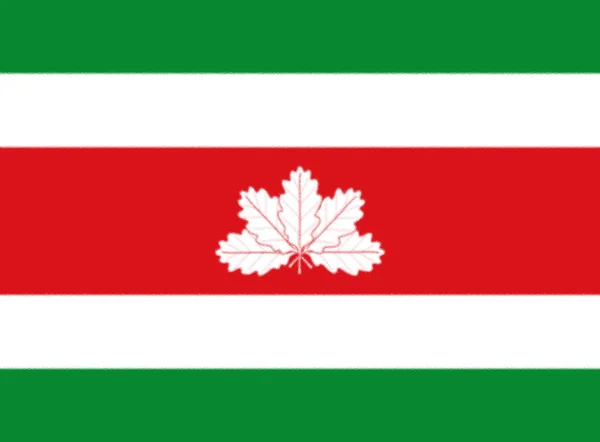 コロンビアボヤック県旗 — ストック写真