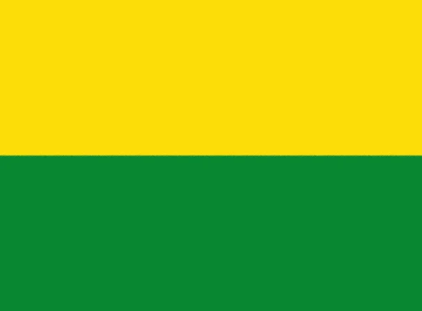 Flagga Vichada Colombia — Stockfoto